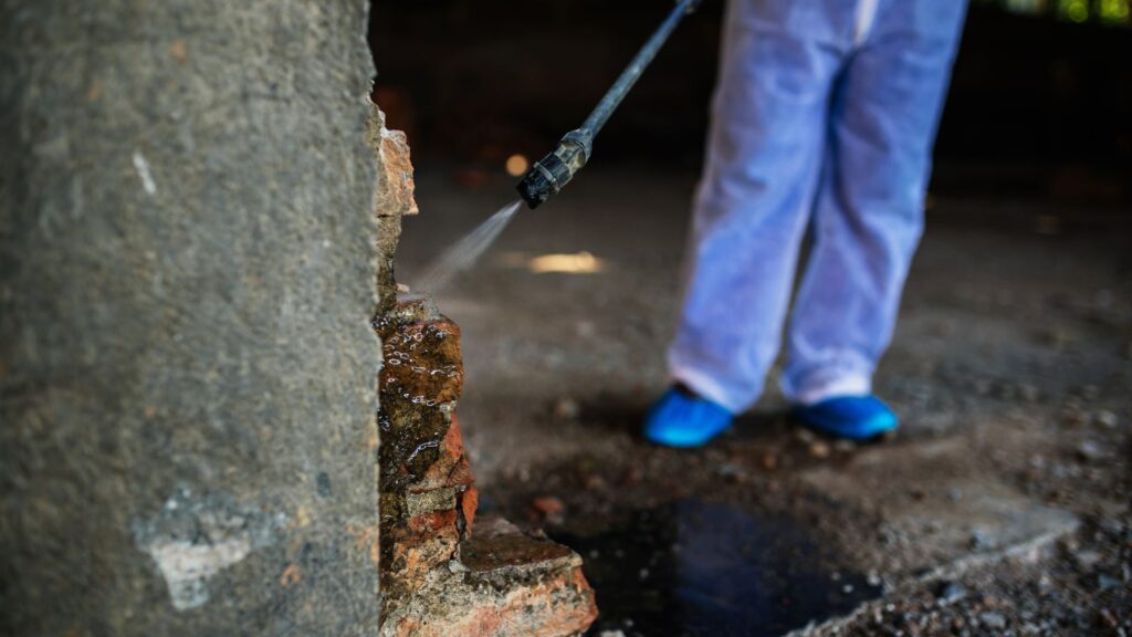 Kammerjäger in der Nähe - Schädlingsbekämpfung Alsdorf - Schädlingsjäger Alsdorf - Kammerjäger - Schädlingsbekämpfung - Wespen - Ameisen - Maden - Mäuse - Ratten