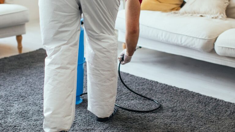 Kammerjäger in der Nähe - Schädlingsbekämpfung Alsdorf - Schädlingsjäger Alsdorf - Kammerjäger - Schädlingsbekämpfung - Wespen - Ameisen - Maden - Mäuse - Ratten